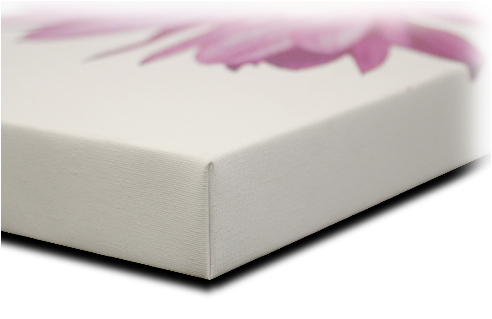 How Canvas
